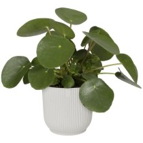 Elho Pot de fleurs Rond VIBES - Plastique - Ø25xH 23.0 cm - Blanc/Bla