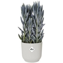 Elho Pot de fleurs Rond VIBES - Plastique - Ø25xH 23.0 cm - Blanc/Bla