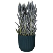 Pot De Fleurs Rond GREEN BASICS - Plastique - Ø45 - Noir