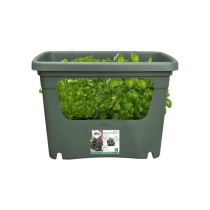 ELHO - Pot de fleurs - Green Basics Stack & Grow Large - Leaf Green -