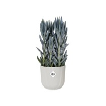 ELHO Vibes Fold Pot de fleurs rond Roues 35 - Blanc - Ø 35 x H 32 cm