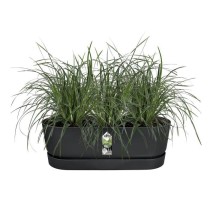 Pot de fleurs ELHO Greenville Easy Balcony 52 - Living Noir - Balcon -