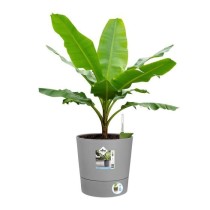 Pot de fleur Elho Plastique Carré Greensense Aqua Care Ciment Clair 2