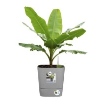 Pot de fleur Elho Plastique Carré Greensense Aqua Care Vert Jungle 29