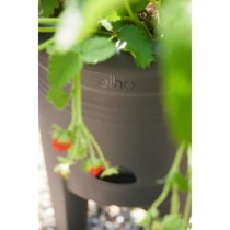 ELHO Green Basics Pot a Fraises 33 - Noir - Ø 33 x H 42 cm - culture