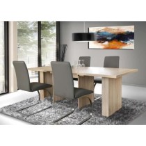 Table a manger extensible de 6 a 12 personnes style contemporain déco