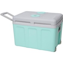 Glaciere thermoélectrique EZA 40L - Alimentation 12/220V - Vert - Id