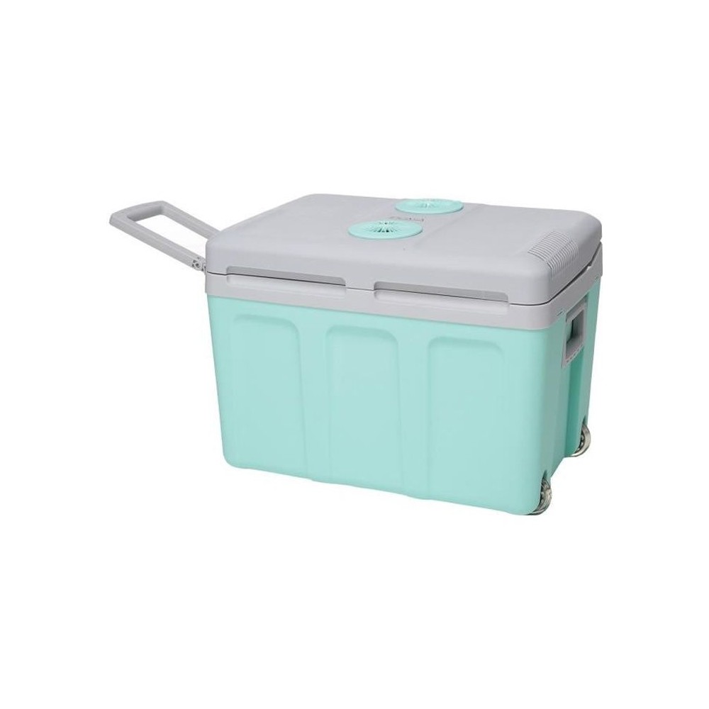 Glaciere thermoélectrique EZA 40L - Alimentation 12/220V - Vert - Id