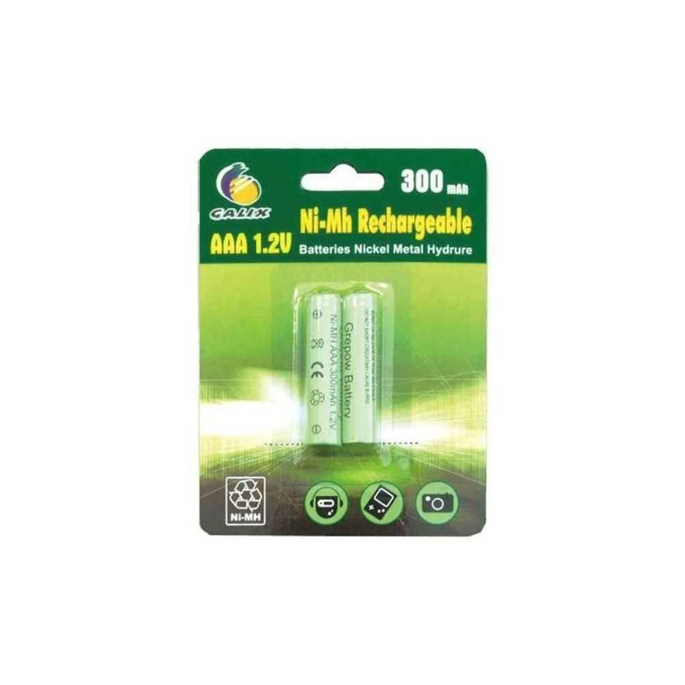 GALIX Lot de 2 piles rechargeables LR03/AAA - Ni-Mh - 1,2 Volts - 300