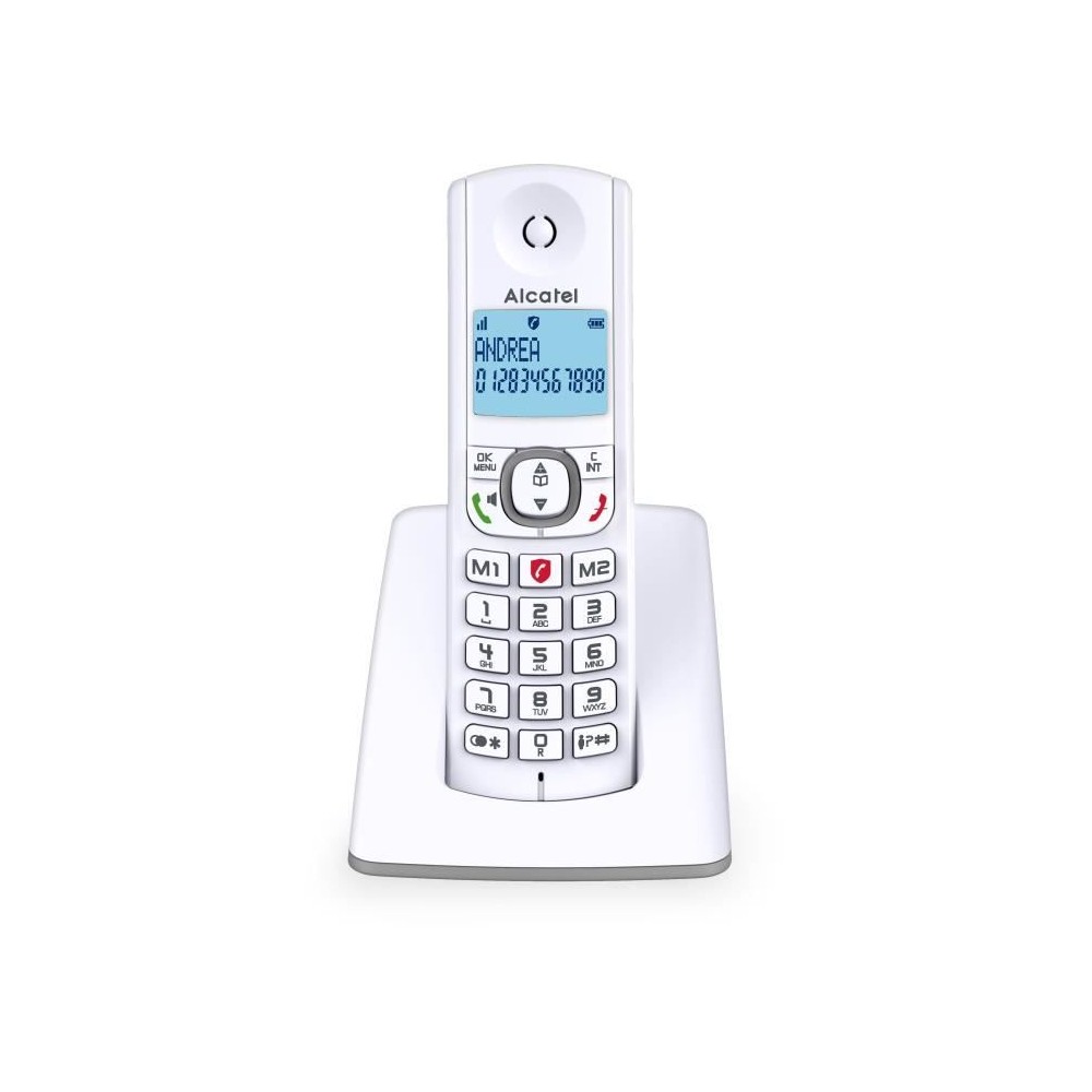 Téléphone sans fil - ALCATEL - F530 - Solo Gris