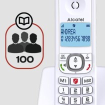 Téléphone sans fil - ALCATEL - F530 - Solo Gris