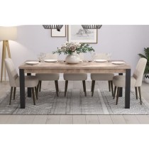 Table a manger EMILE 10 personnes - Mélamine chene brun tabac et noir mat - L200 x P100 x H77 cm - TRENDTEAM