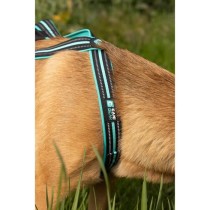 Harnais de traction pour chien - OLYMPIA - S - Type X-back - Bleu