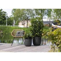 Capi Jardiniere Urban Smooth 43x41 cm noir KBL933 424348