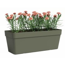 Jardiniere - ARTEVASI - Capri - Plastique - Rectangulaire - Vert sec -