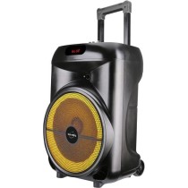 Enceinte trolley - INOVALLEY - KA122 - 700W - Bluetooth - Lumineuse