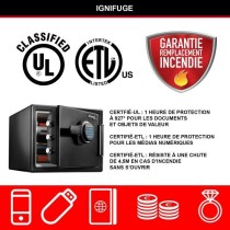 Coffre-fort de sécurité ignifugé et résistant a l'eau 22L - MASTER LOCK LFW082FTC