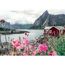 Ravensburger-Puzzle 1000p-Reine, Lofoten, Norvege (Highlights)-Adultes & enfants-Des 14 ans-Puzzle de qualité supérieure-12000