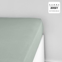 Drap housse TODAY Essential - 140 x 190+25 cm - 1 personne - 100% Coton jersey - Celadon