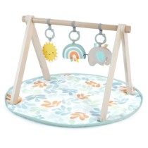 INGENUITY Tapis d'éveil Sun Valley, arche de jeu en bois - 3 jouets a