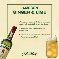 JAMESON Irlande Standard Whiskey Gallon Balancelle 4,5L