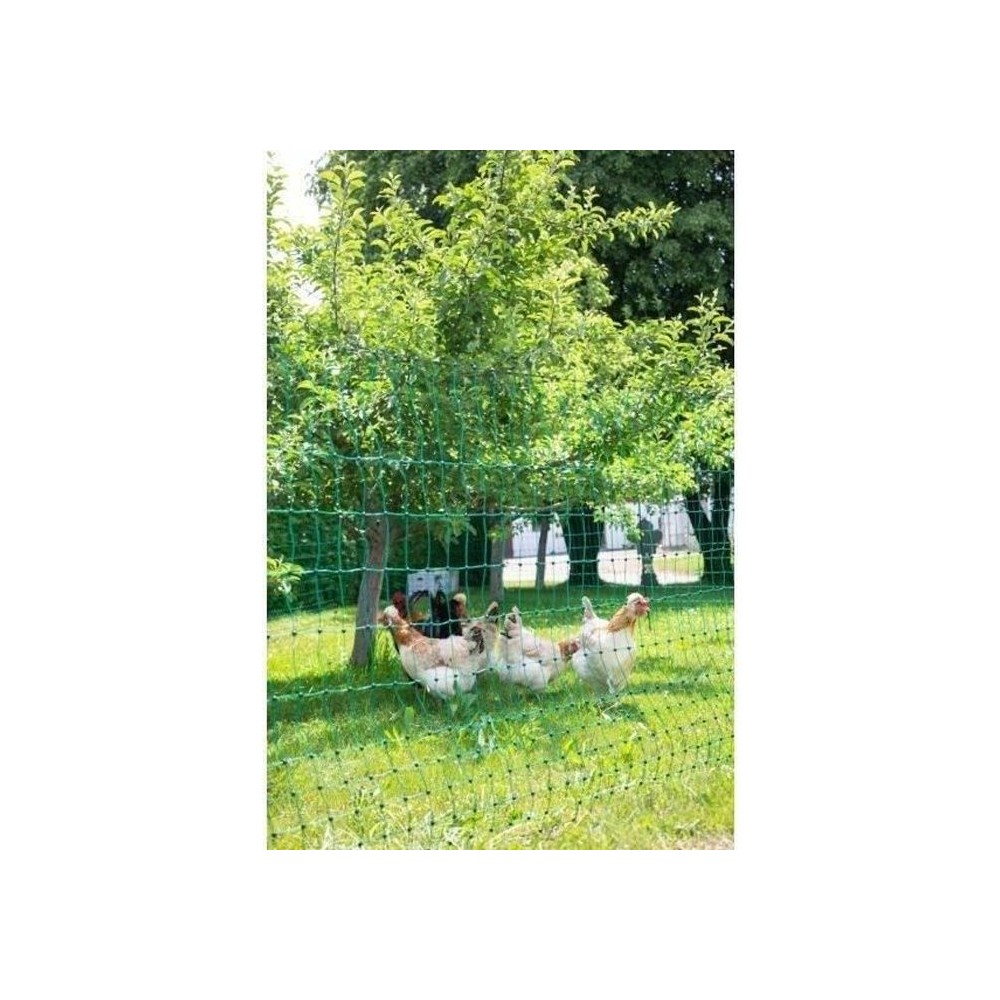 KERBL Filet pour les poules 25 m - 106 cm - double pointe - vert - non