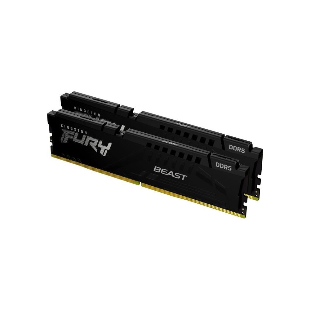 KINGSTON TECHNOLOGY FURY Beast RAM DDR5 16 Go (2 x 8 Go) 5200 MHz CL40