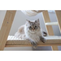 Arbre a chat 134 cm - LADDER - KERBL - Bois massif - 3 options de repo