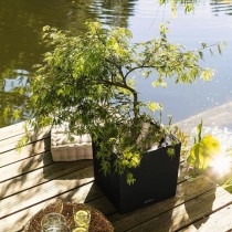 LECHUZA Jardiniere, Lit Surélevé avec Poignées Intégrées, Bac a F