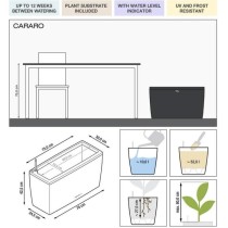 Pot de fleur LECHUZA Cararo Premium - kit complet, anthracite métalli