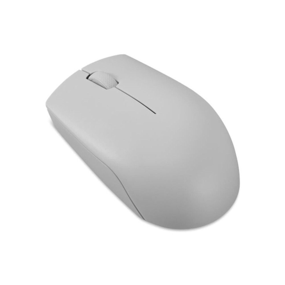 Souris sans fil compacte Lenovo 300 avec batterie - Gris