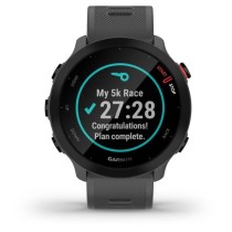 Montre connectée sport - GARMIN - Forerunner 55 - Monterra Grey (Gris)