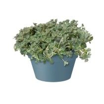 ELHO Pot de fleurs Loft Urban - Coupe 35 cm - Bleu vintage