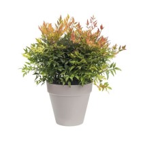 ELHO Pot de fleurs rond Loft Urban - Ø 30 cm - Gris chaud