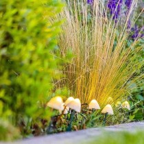 10 mini-champignons lumineux solaires a piquer - LUMISKY - CHAMPY - 3.