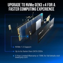 Disque SSD Interne - PNY - CS1030 M.2 GEN3 - 250 Go - NVMe (M280CS1030