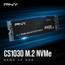 Disque SSD Interne - PNY - CS1030 M.2 GEN3 - 250 Go - NVMe (M280CS1030