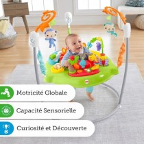 Fisher-Price - Jumperoo Jungle Sons et Lumieres - Youpala CHM91