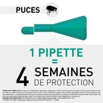 FRONTLINE Combo Chats et Furets - 3 pipettes - Puces tiques et poux