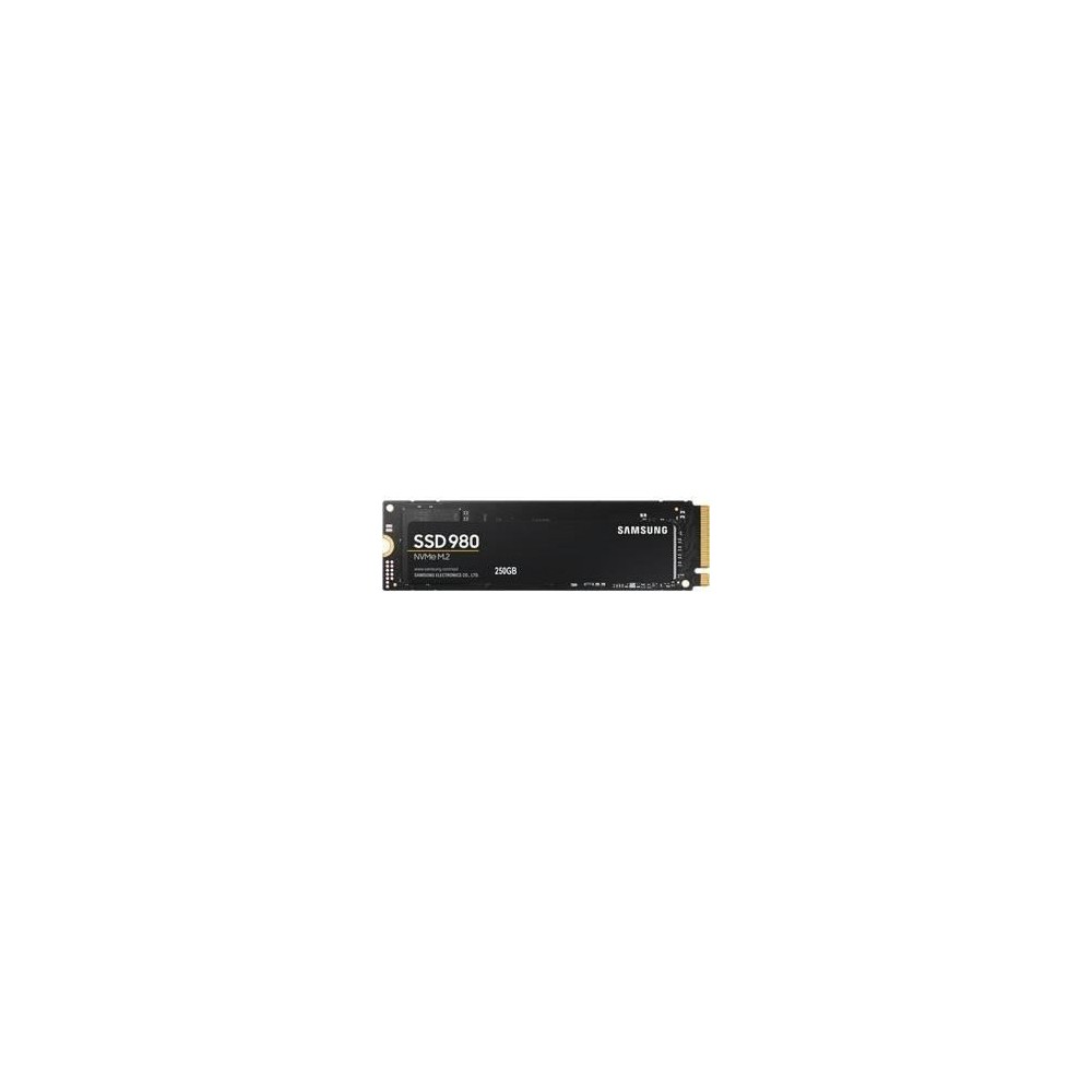 SAMSUNG SSD Interne 980 250 Go MZ-V8V250BW