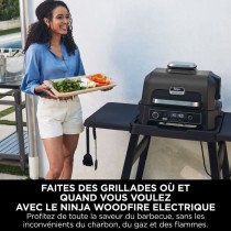 Barbecue électrique et fumoir avec thermometre - NINJA - Woodfire Pro