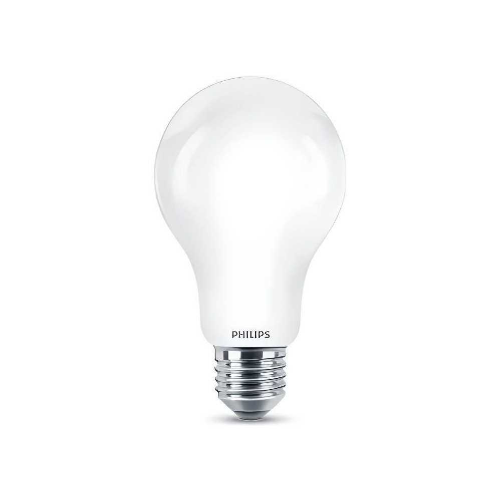 Ampoule LED PHILIPS Non dimmable - E27 - 150W - Blanc Froid