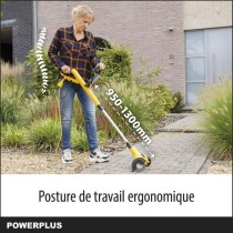 Powerplus Désherbeur Téléscopique Électrique POWXG6650 - Extracteu