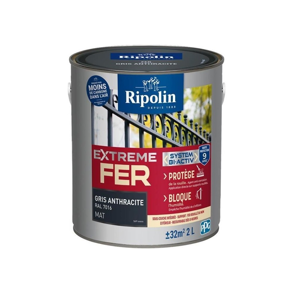 Peinture fer - RIPOLIN - 395988 - Gris anthracite - Mat - 2 L