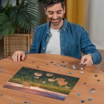 Puzzle 500 pieces Pissenlits au crépuscule, Des 12 ans, Puzzle de qua