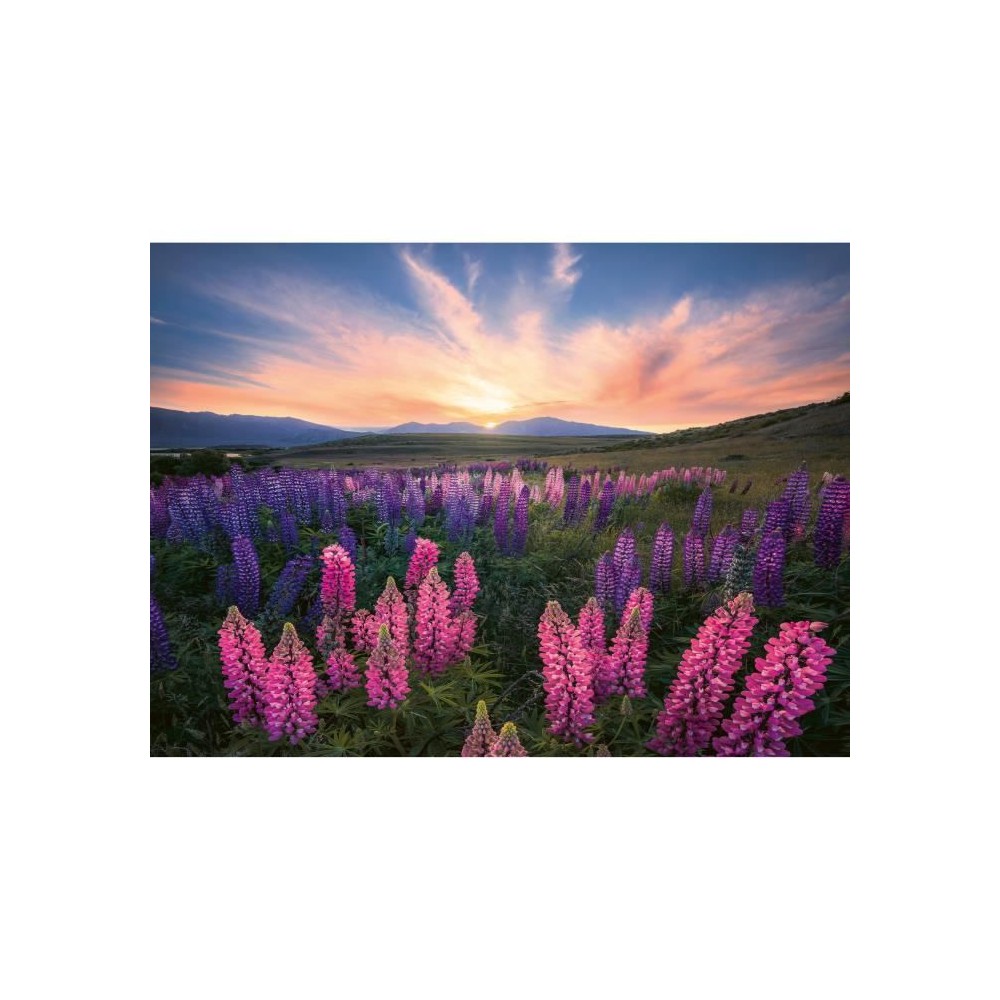 Puzzle 500 pieces Les lupins (Nature edition), Des 12 ans , Puzzle de