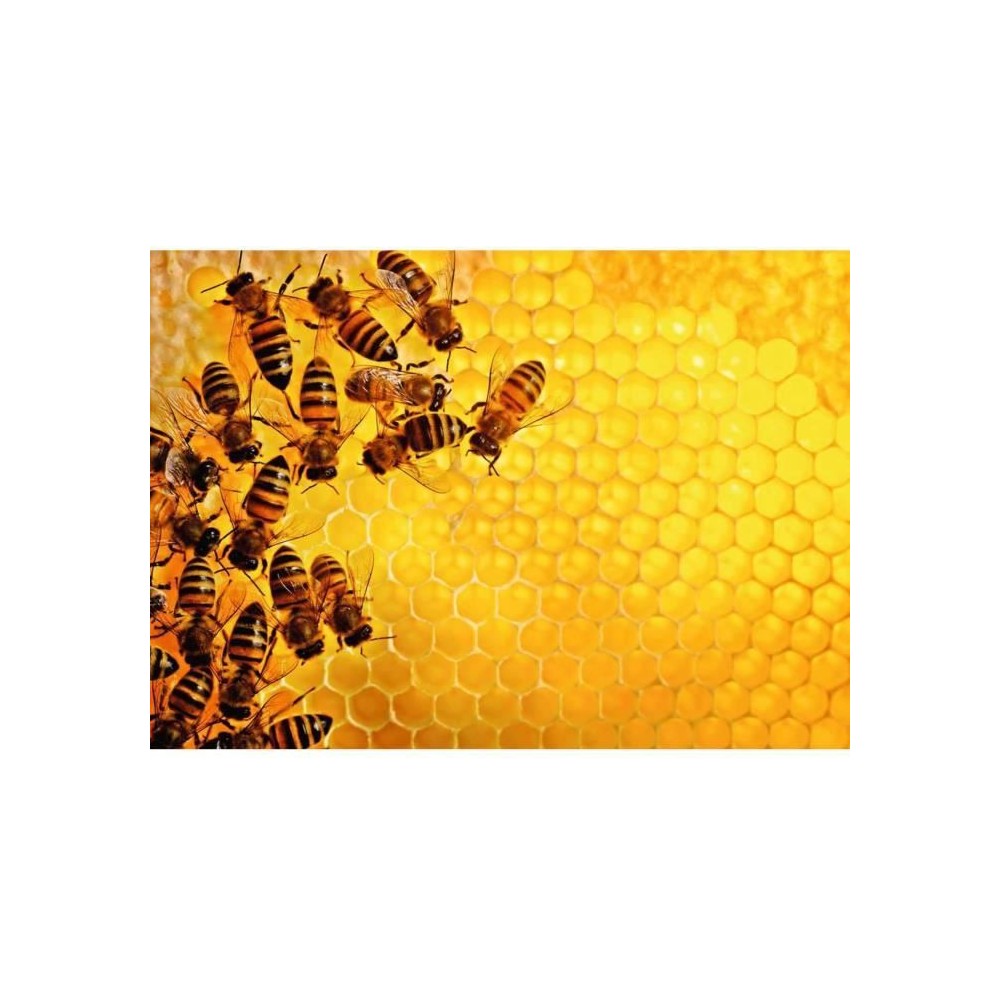 Puzzle 1000 pieces - La ruche aux abeilles - Ravensburger - Animaux -