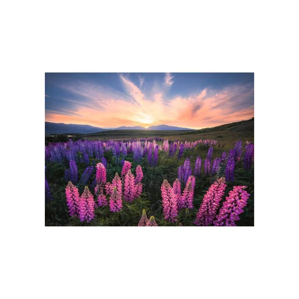 Puzzle 500 pieces Les lupins (Nature edition) - Ravensburger - Paysage