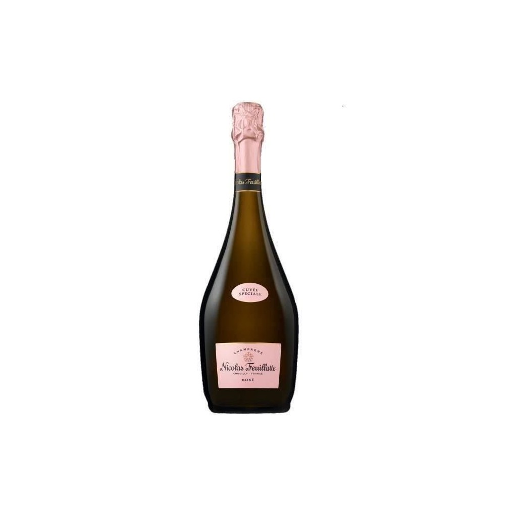 Champagne Nicolas Feuillatte Cuvée Spéciale Rosé 75cl