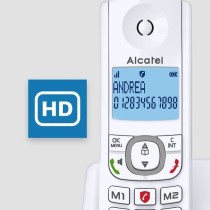 Téléphone sans fil ALCATEL F530 Voice Solo - Répertoire 50 noms et numéros - Gris